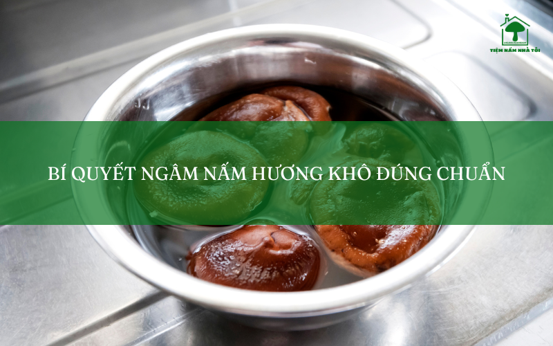 Bí mật ngâm nấm hương khô đúng chuẩn từ Tiệm Nấm Nhà Tôi