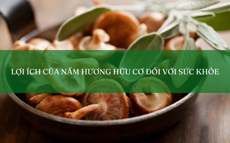 Lợi ích của nấm hương hữu cơ đối với sức khỏe gia đình