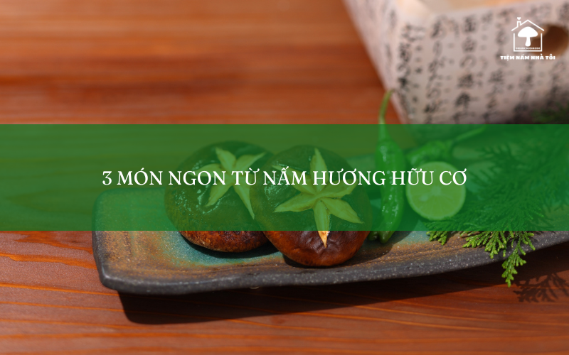 3 món ngon từ nấm hương hữu cơ