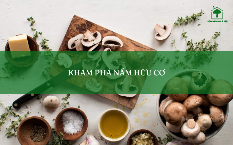 Khám Phá Nấm Hữu Cơ: Siêu Thực Phẩm Sạch Cho Cả Gia Đình 1 Khám phá nấm hữu cơ - siêu thực phẩm của gia đình